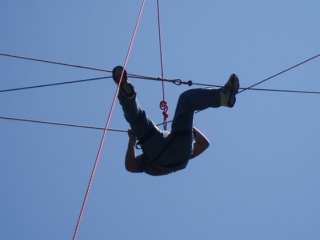 Bocabajo en los cables.jpg
